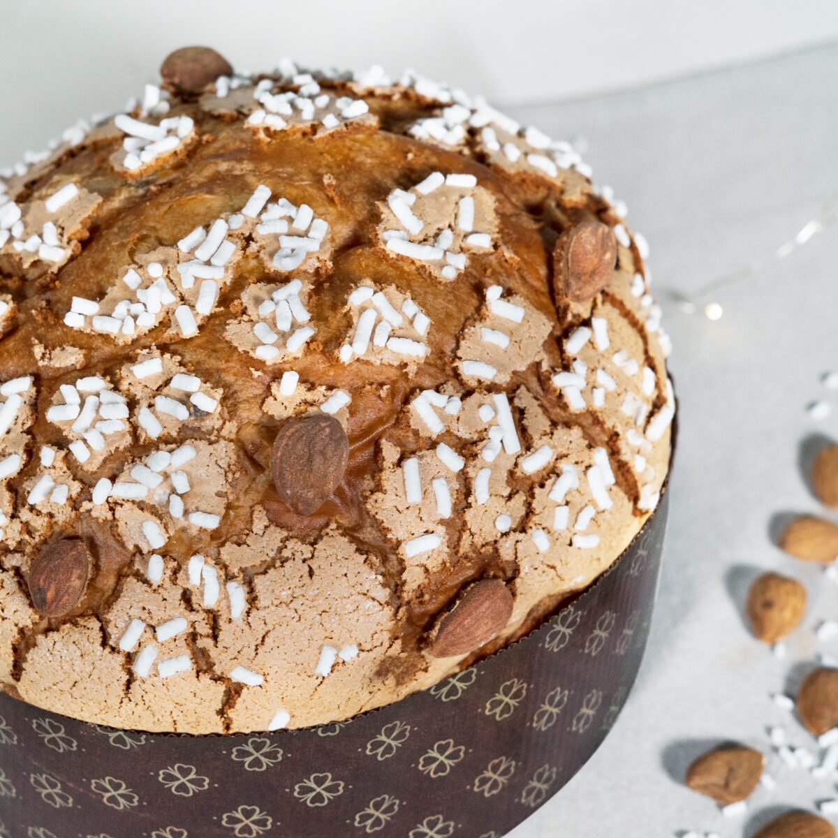 Panettone tradizionale (2)